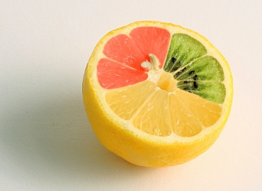 kiwi-zitrone